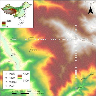 Elevation, aspect, and slope influence woody vegetation structure and composition but not species richness in a human-influenced landscape in northwestern Yunnan, China